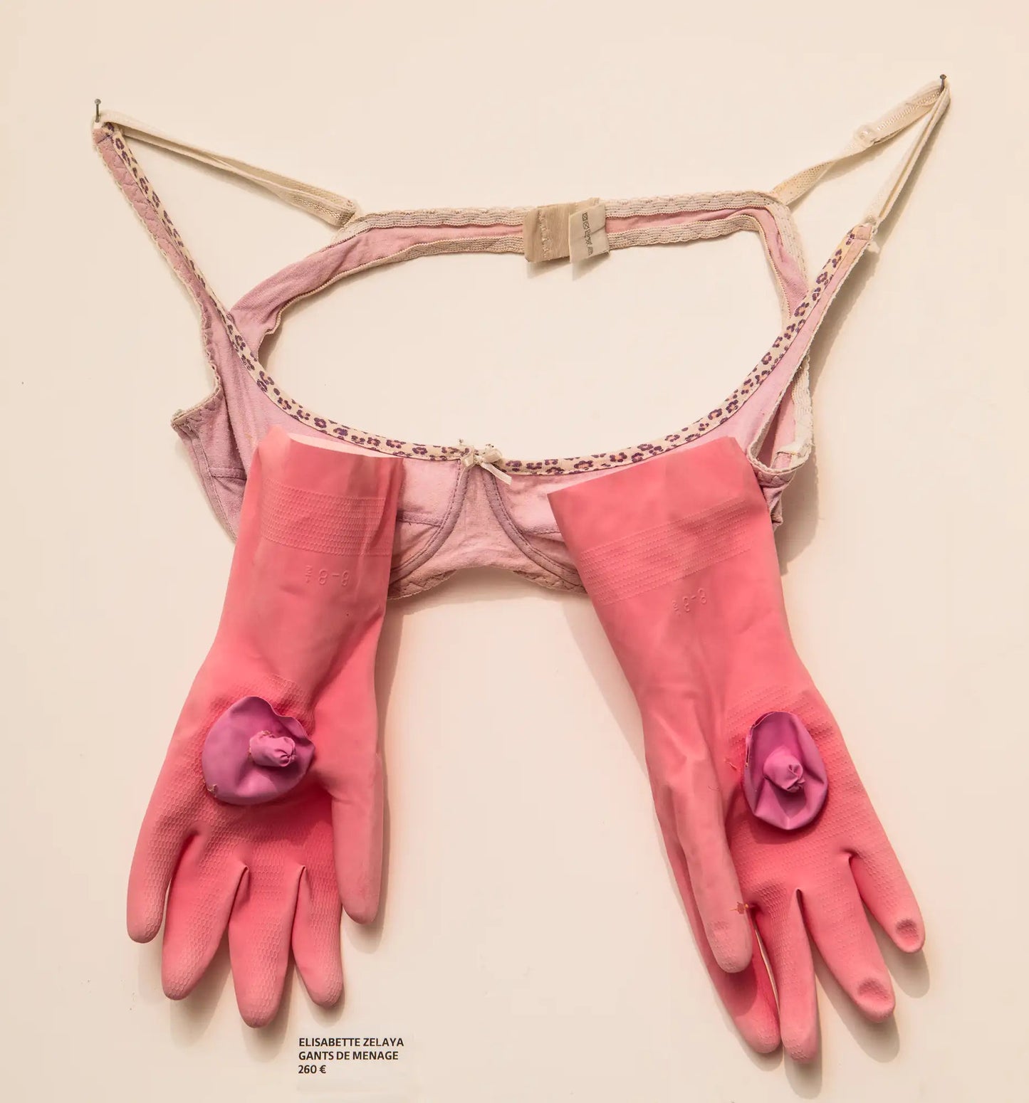Elisabette Zelaya : Gants de ménage - Œuvres d'art