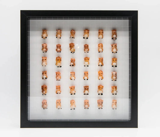 Maxime Chkoulanov : 36 hiboux en cage - Tableau