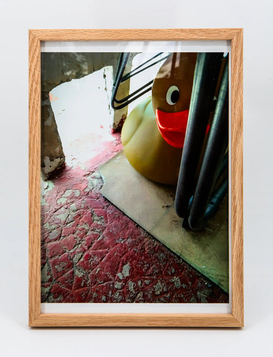 Nadine Agostini : Bonjour mon canard -  Photographie